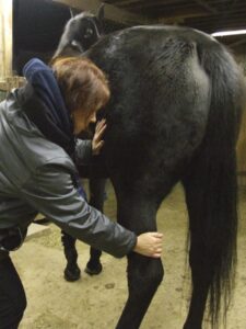 6_1711_e_cammie_web_600w